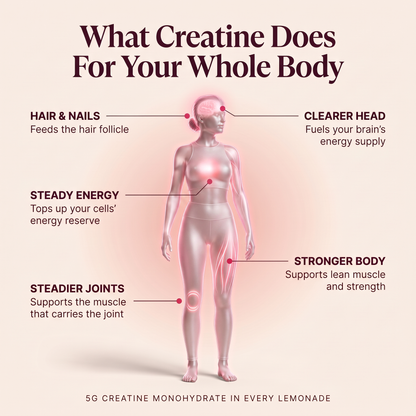 What creatine does for your whole body: clearer head, hair and nails, steady energy, stronger body, steadier joints